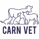 Carn Vet Clinic