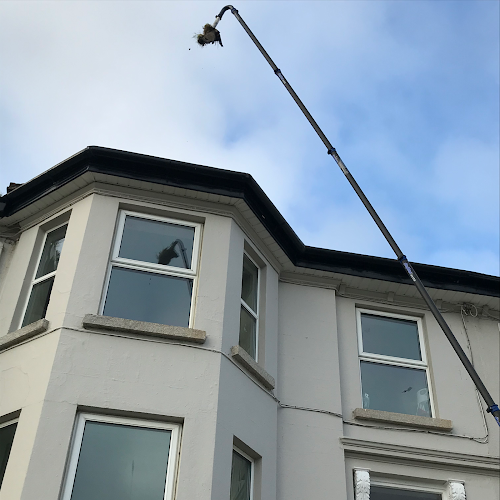 Doyle's Window And Gutter Cleaning