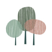 Ladybug Creche & Montessori