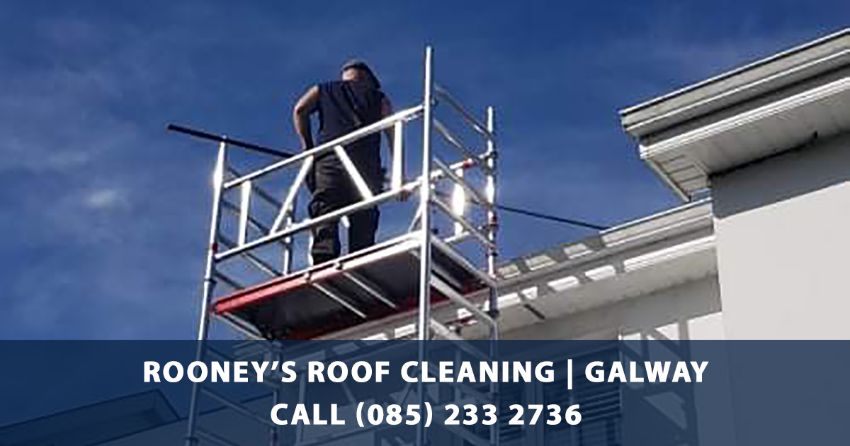 Rooney's Roof Cleaning