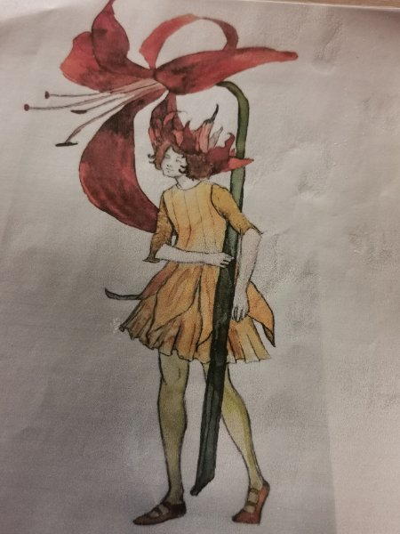 Dilly Lily Flowers