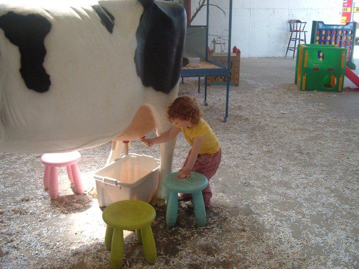Kia Ora Mini Farm